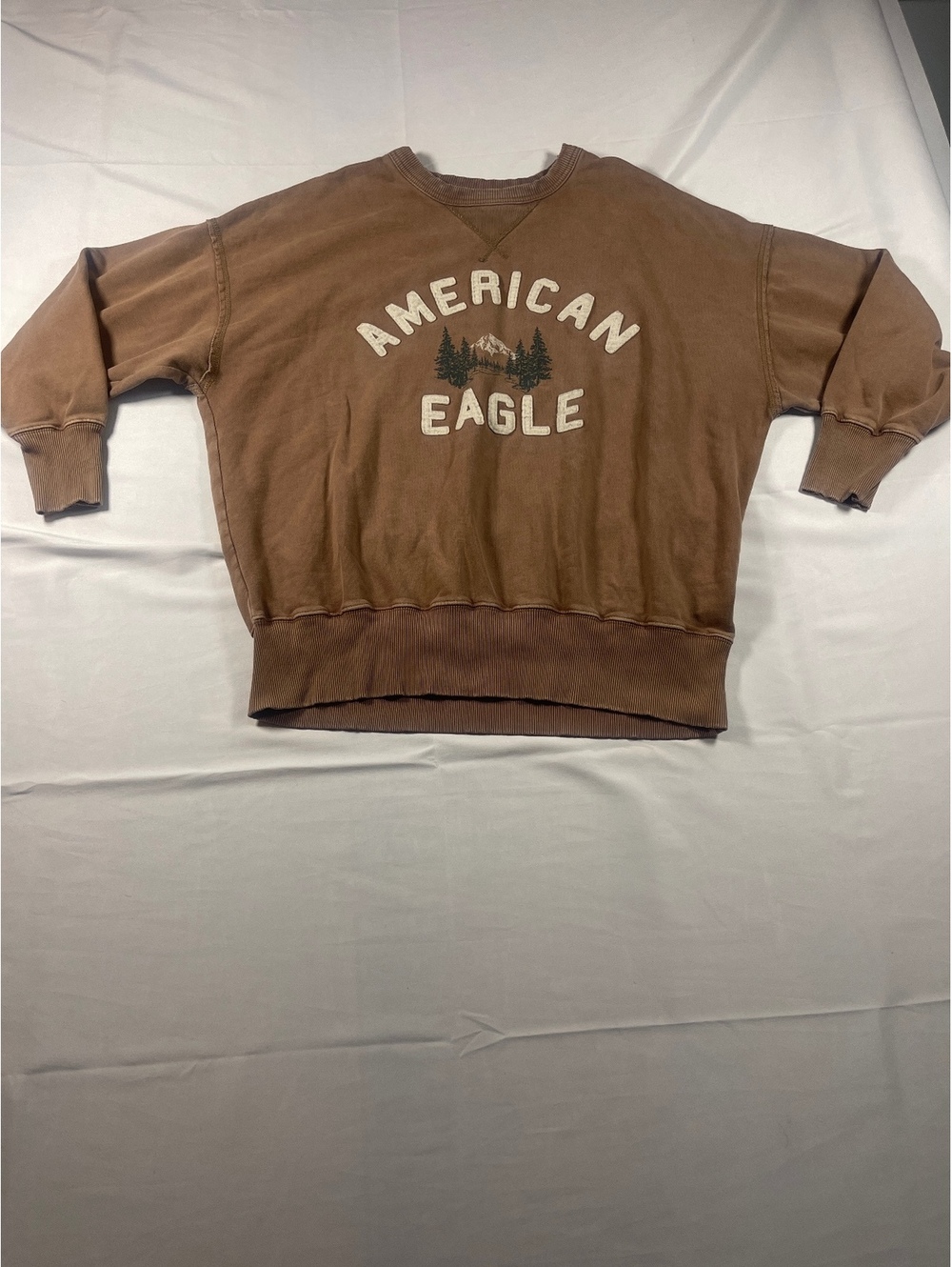 Men’s Size Medium American Eagle Outfitters Brown Vintage Style Crewneck